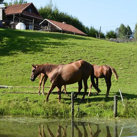Gospodarstwo agroturystyczne Paryja Olpiny